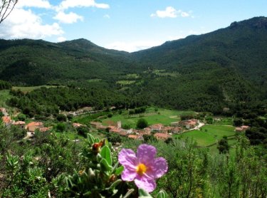 Complejo Rural Calar de la Sima (Albacete) Complejo Rural Calar de la Sima (Albacete)