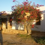 Casa para 8