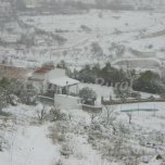 Padel cortijo Los Farolillos