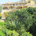 Cortijo El Mandarino