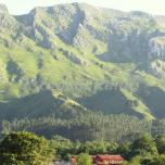 Primorías Llanes 1