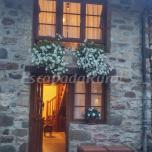 Casa Pepa Pastor