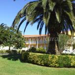 Apartamento de 3 dormitorios