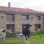 Casa completa