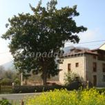 Casa Rural La Roza Buelles
