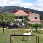 El mirador de tortoles