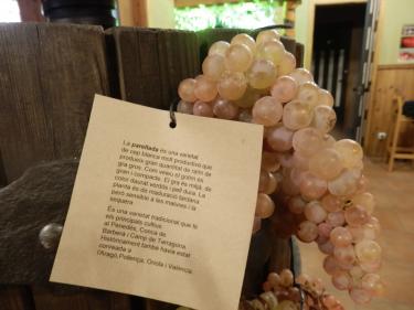 Ca La Laia (Barcelona) Ca La Laia (Barcelona)