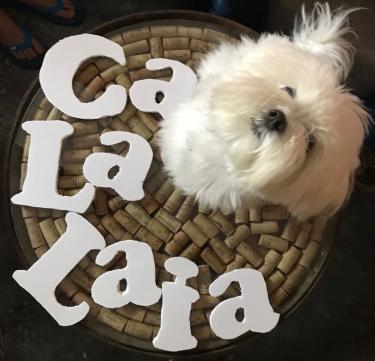 Ca La Laia (Barcelona) Ca La Laia (Barcelona)
