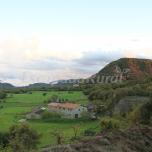 Colomer I