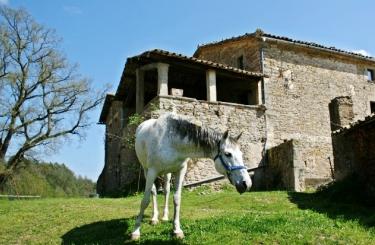 Mas La Vall (Barcelona) Mas La Vall (Barcelona)