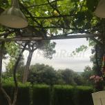 Can Pit Roig, refugio vegano