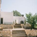 Arbequina