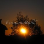 Bungalow sencillo 3