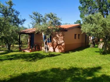 Aldea Vetonia (Cáceres) Aldea Vetonia (Cáceres)