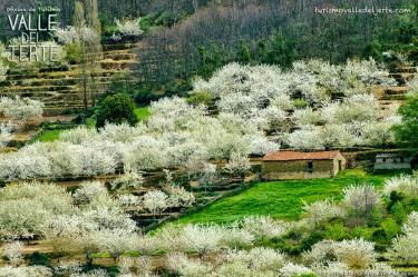 Casa Rural Villa Madruga (Cáceres) Casa Rural Villa Madruga (Cáceres)