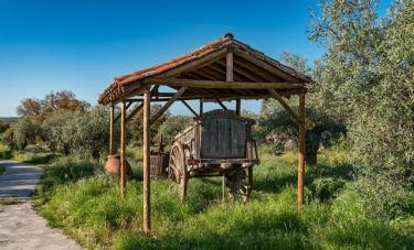 Casa El Olivo (Cáceres) Casa El Olivo (Cáceres)