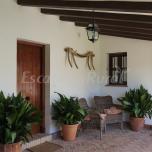 Casa completa