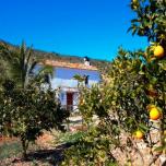 Rancho Calvillo