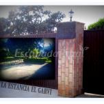 El Garvi