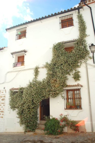 Aladin (Cádiz) Aladin (Cádiz)