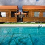 Palmares