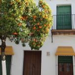 Casa Ronda