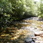 El Laurel