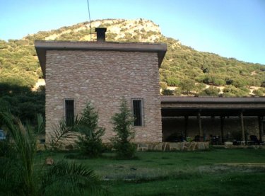 Las Madroñas (Ciudad Real) Las Madroñas (Ciudad Real)