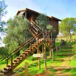 Cabaña Nido