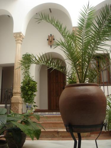 Casa Maika (Córdoba) Casa Maika (Córdoba)