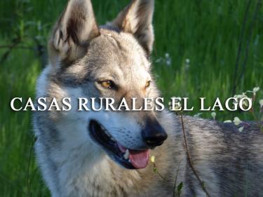 Casas Rurales Hacienda el Lago (Córdoba) Casas Rurales Hacienda el Lago (Córdoba)