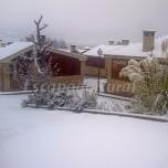 Bungalow 3