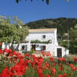 Cortijo Cerro Fuentes Nuevas III