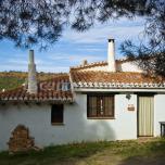 Estudio El Pinar
