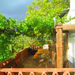 Casa el Brazal