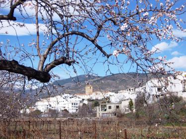 Casa Canales (Granada) Casa Canales (Granada)