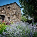 Casa Los Tres Olivos