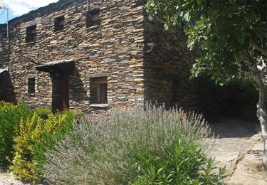 Casa Los Tres Olivos (Guadalajara) Casa Los Tres Olivos (Guadalajara)