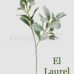 El Laurel
