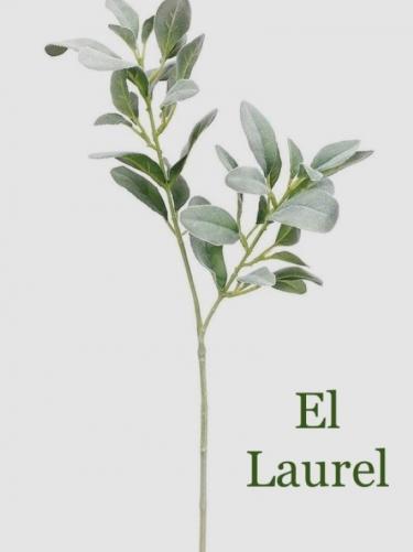 El Laurel y El Romero (Guadalajara) El Laurel y El Romero (Guadalajara)