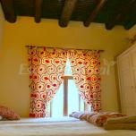 Casa Hippis