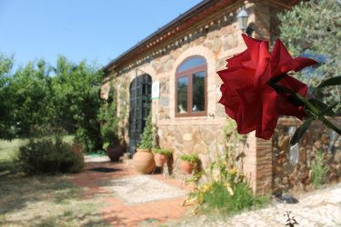 Casa Chantino (Huelva) Casa Chantino (Huelva)