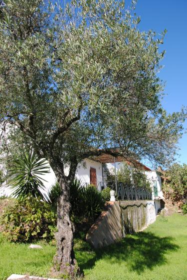 Alojamiento Rural La Aulaga (Huelva) Alojamiento Rural La Aulaga (Huelva)