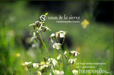 Casas rurales Sierra de Aracena (Huelva) Casas rurales Sierra de Aracena (Huelva)