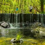 La Rana Verde Casa Rural