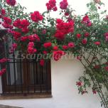 Casa Onuba
