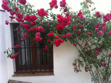 Casa Onuba (Huelva) Casa Onuba (Huelva)