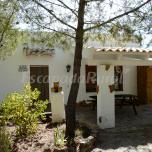 Casa Pinea