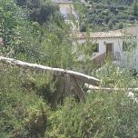 Casa la Piedra de Tiscar Il
