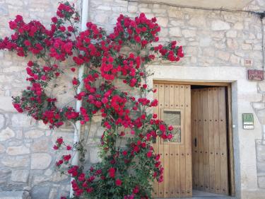 Ca La Pascola (Lleida) Ca La Pascola (Lleida)